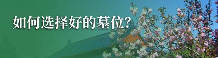 龙凤园公墓